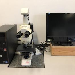 Stereomikroskop