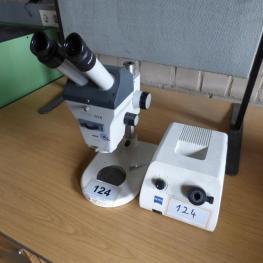 Stereo Microscope
