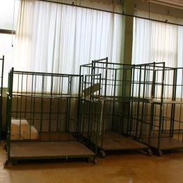 Tiered Transport Trolleys