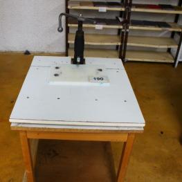Spindeldornstanze