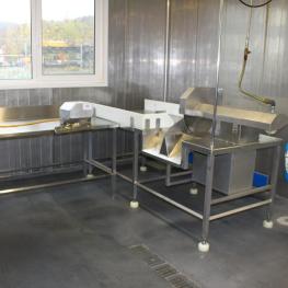 Fischverarbeitungsplatz