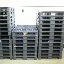 Lot Of Disposable Plastic Pallets