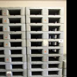 Lot Of Plastic Euro Pallets