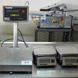 Platform Scale