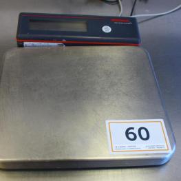 Platform Scale