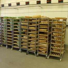 Lot Of Fermentation Trolleys