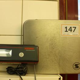 Digital Scale