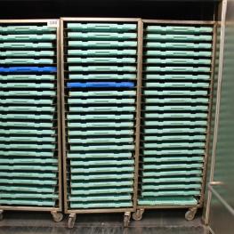 Lot Of Rack Trolleys