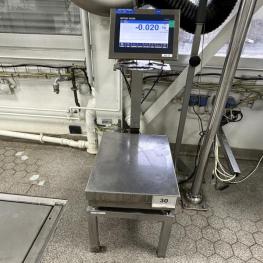 Platform Scales