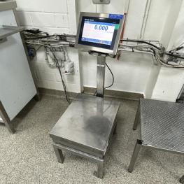 Platform Scales