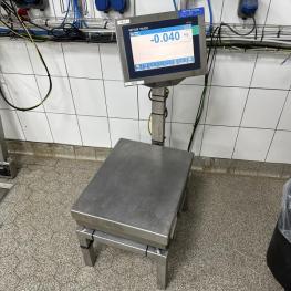 Platform Scales