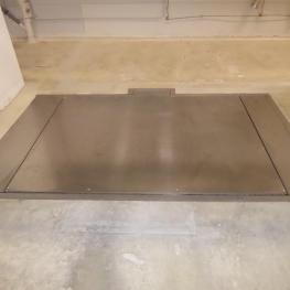 Platform Scales
