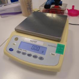 Laboratory Scales