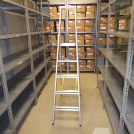 Fixed Ladder
