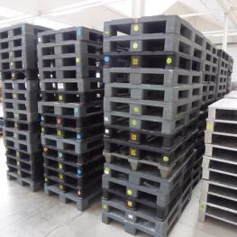 Lot Plastic Pallets