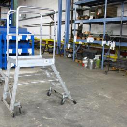 Platform Ladder