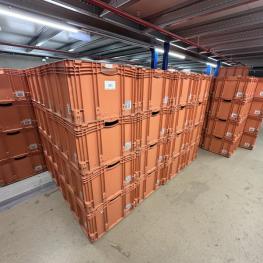 Kunststoff Euroboxen
