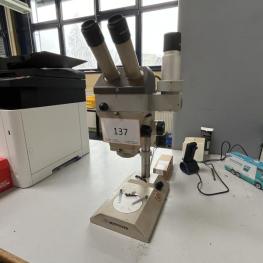 Stereo Microscope