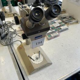 Stereo Microscope