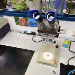 Stereo Microscope