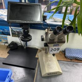 Stereo Microscope
