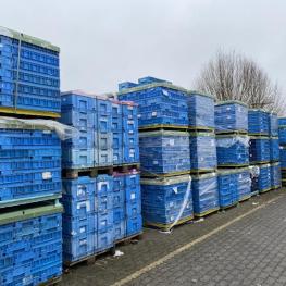 Klt Boxen