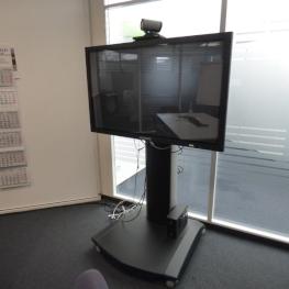 Flat Screen TV